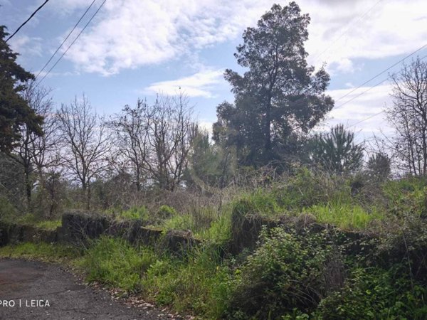 terreno agricolo in vendita a Trecastagni