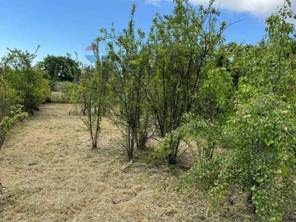 terreno agricolo in vendita a Trecastagni