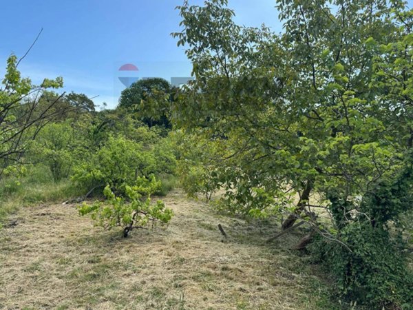 terreno agricolo in vendita a Trecastagni
