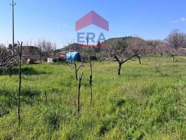 terreno agricolo in vendita a Trecastagni