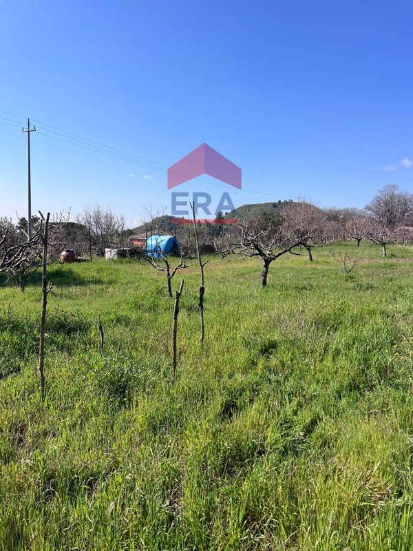 terreno agricolo in vendita a Trecastagni