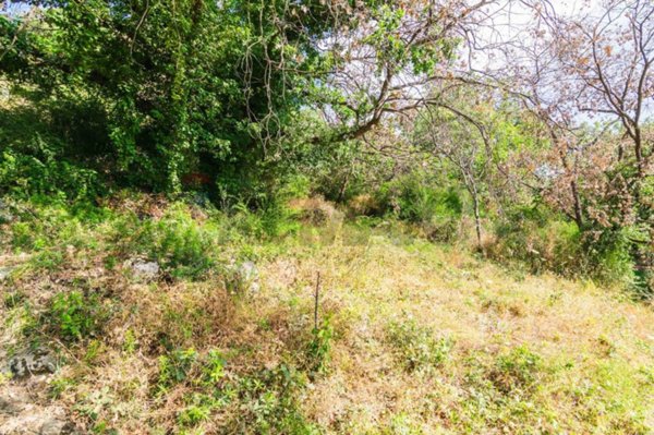 terreno agricolo in vendita a Trecastagni