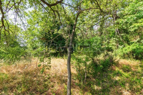 terreno in vendita a Trecastagni