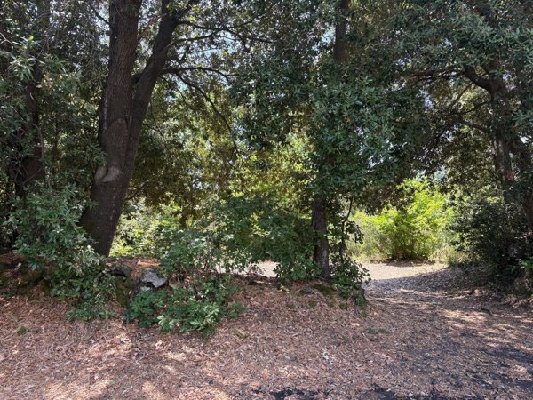 casa indipendente in vendita a Trecastagni