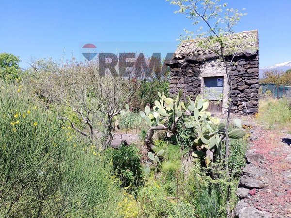 terreno agricolo in vendita a Trecastagni
