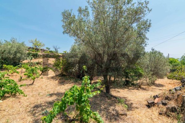terreno agricolo in vendita a Trecastagni