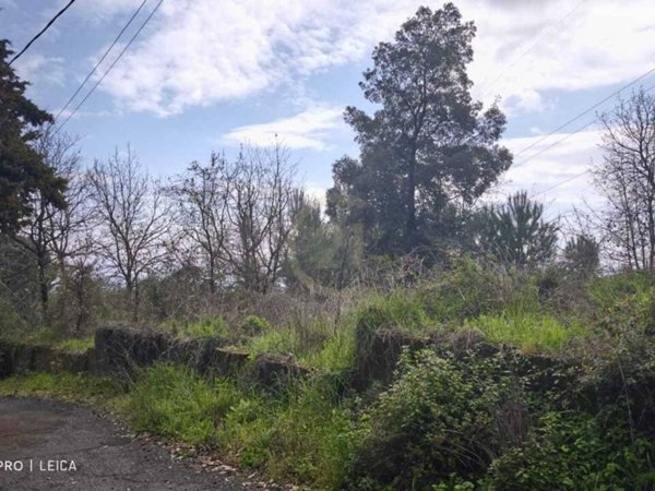 terreno in vendita a Trecastagni