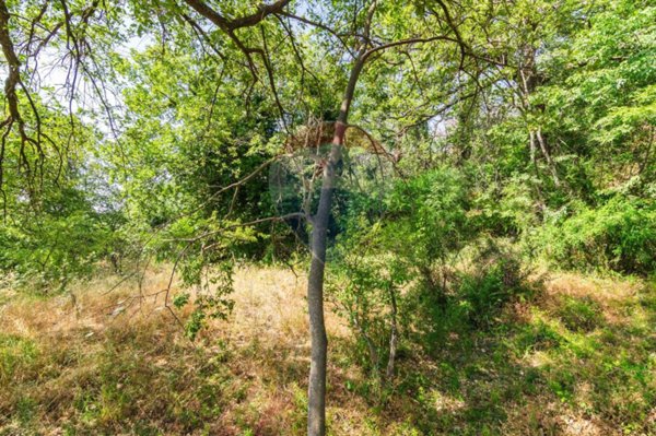 terreno in vendita a Trecastagni