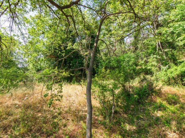 terreno in vendita a Trecastagni