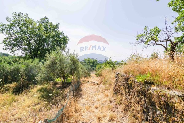 terreno in vendita a Trecastagni