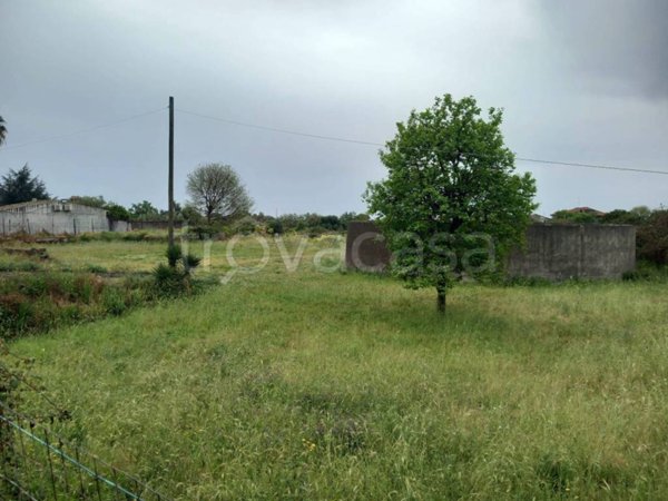 terreno agricolo in vendita a Tremestieri Etneo