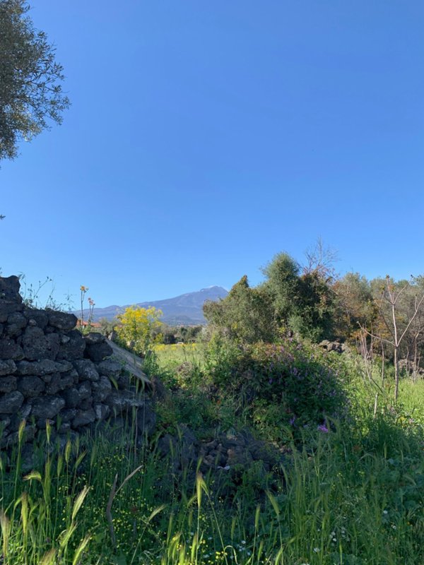 terreno agricolo in vendita a Tremestieri Etneo