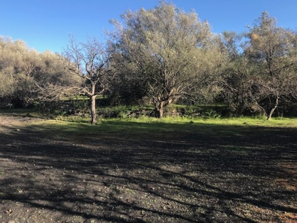 terreno agricolo in vendita a Tremestieri Etneo