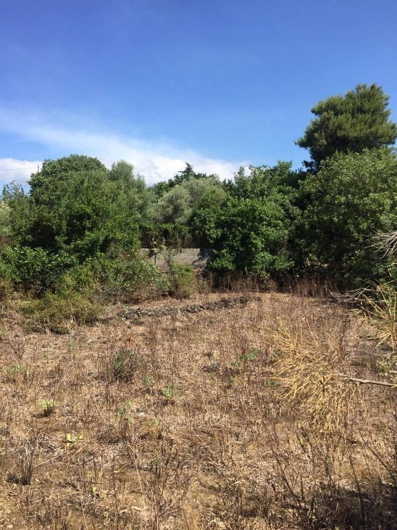 terreno agricolo in vendita a Tremestieri Etneo