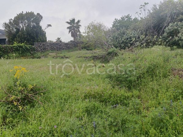 terreno agricolo in vendita a Tremestieri Etneo