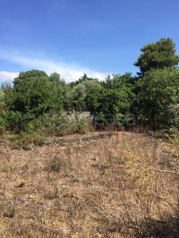 terreno agricolo in vendita a Tremestieri Etneo