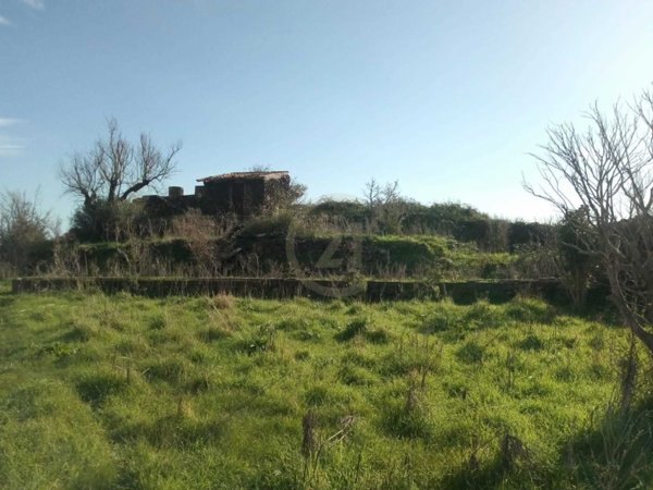 terreno agricolo in vendita a Tremestieri Etneo