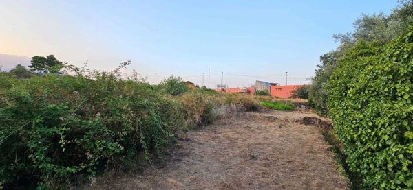 terreno agricolo in vendita a Tremestieri Etneo