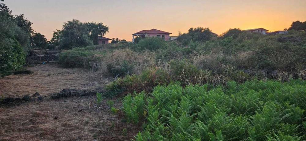 terreno agricolo in vendita a Tremestieri Etneo