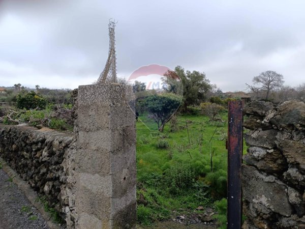 terreno agricolo in vendita a Tremestieri Etneo
