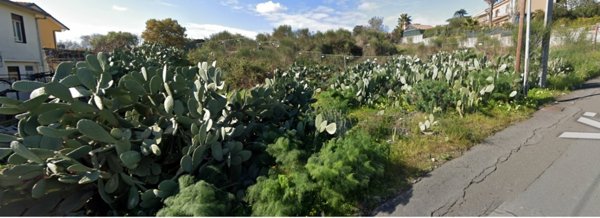 terreno agricolo in vendita a Tremestieri Etneo