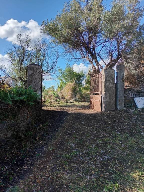 terreno agricolo in vendita a Tremestieri Etneo