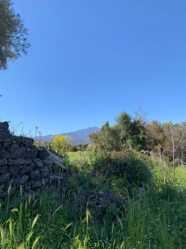 terreno agricolo in vendita a Tremestieri Etneo