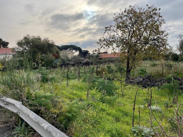 terreno agricolo in vendita a Tremestieri Etneo