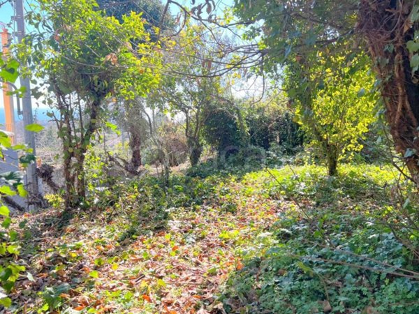 terreno agricolo in vendita a Valverde(CT)