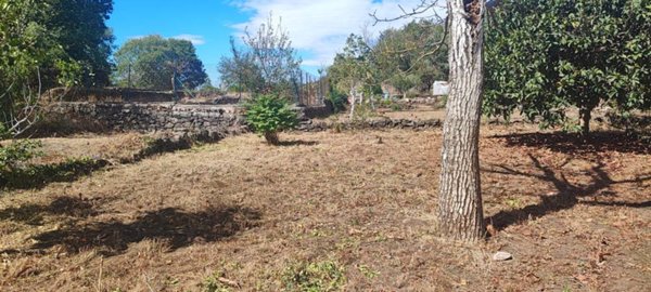 terreno agricolo in vendita a Valverde(CT)
