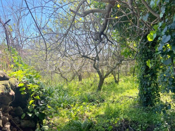 terreno agricolo in vendita a Valverde(CT)