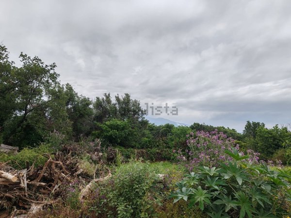 terreno agricolo in vendita a Valverde(CT)