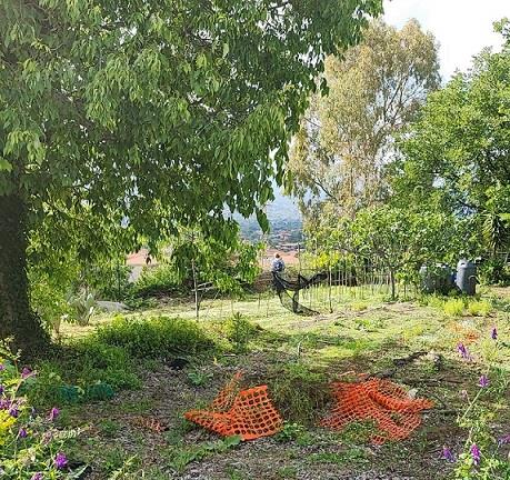 terreno agricolo in vendita a Valverde(CT)