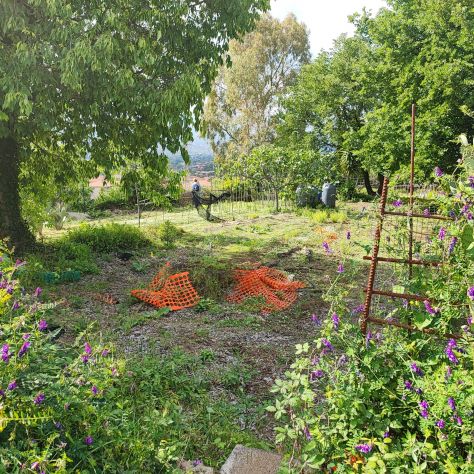 terreno agricolo in vendita a Valverde(CT)