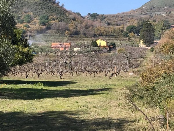 terreno agricolo in vendita a Viagrande