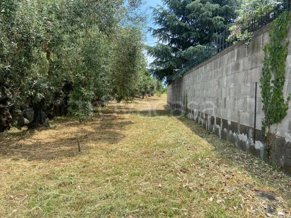 terreno agricolo in vendita a Viagrande
