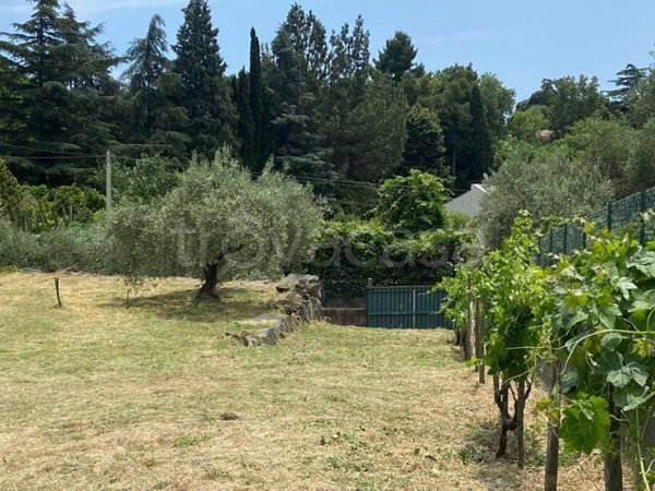 terreno agricolo in vendita a Viagrande