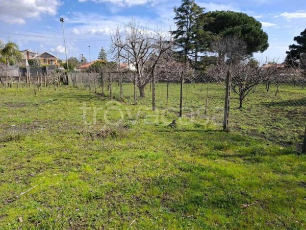 terreno agricolo in vendita a Viagrande