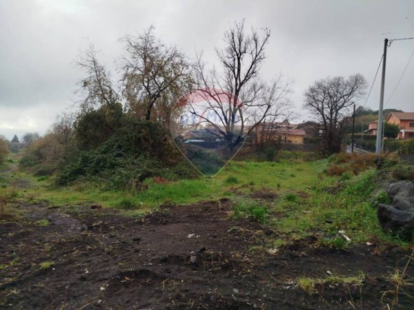 terreno agricolo in vendita a Viagrande