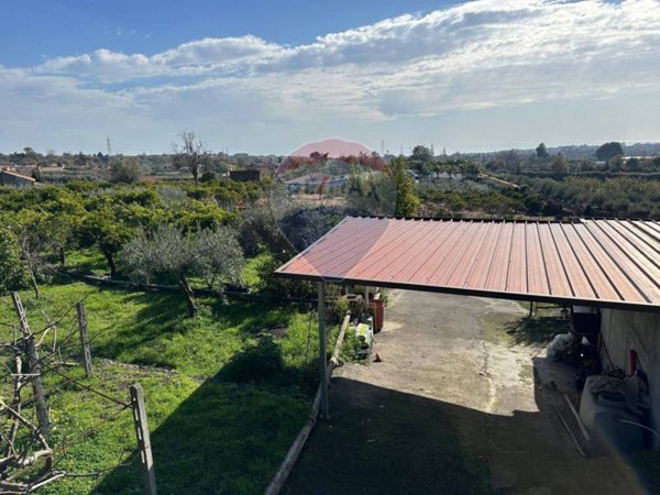 terreno agricolo in vendita a Viagrande