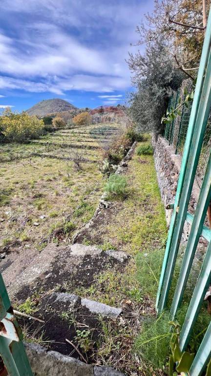 terreno agricolo in vendita a Viagrande