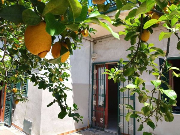 casa indipendente in vendita a Viagrande