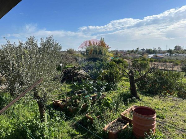 terreno agricolo in vendita a Viagrande