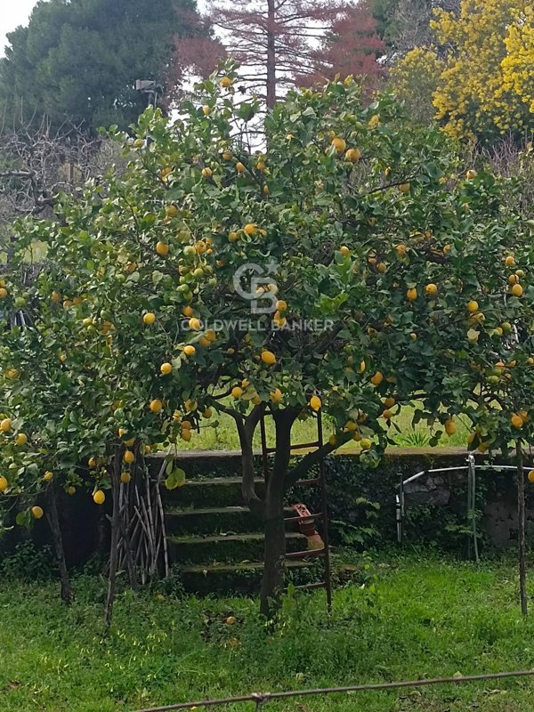 casa indipendente in vendita a Viagrande
