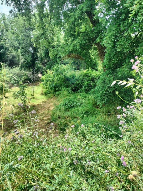 terreno agricolo in vendita a Viagrande