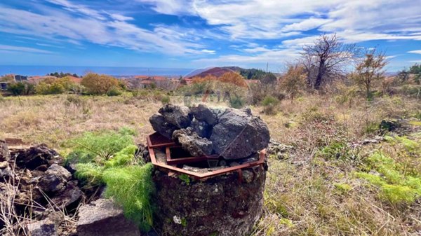 terreno agricolo in vendita a Viagrande