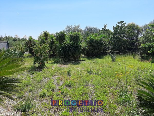 pentavano in vendita a Viagrande