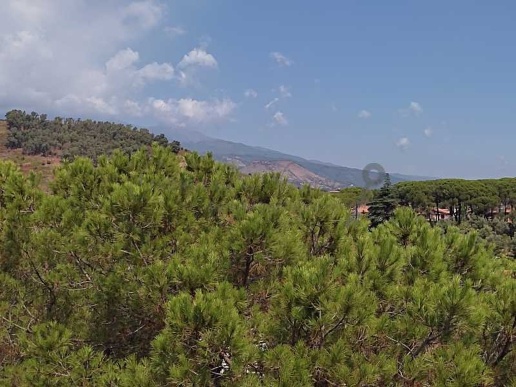 appartamento in vendita a Viagrande