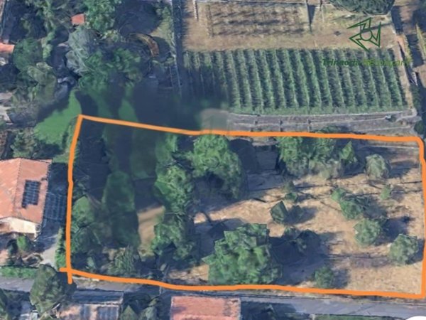 terreno agricolo in vendita a Viagrande
