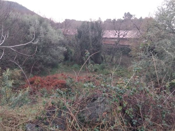 terreno agricolo in vendita a Viagrande